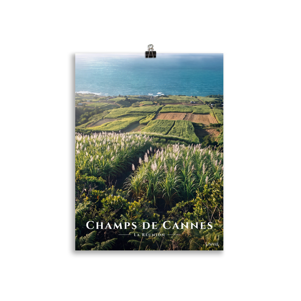 Poster Champs de Cannes Sans cadre 30 × 40 cm