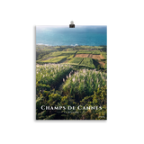 Poster Champs de Cannes Sans cadre 30 × 40 cm