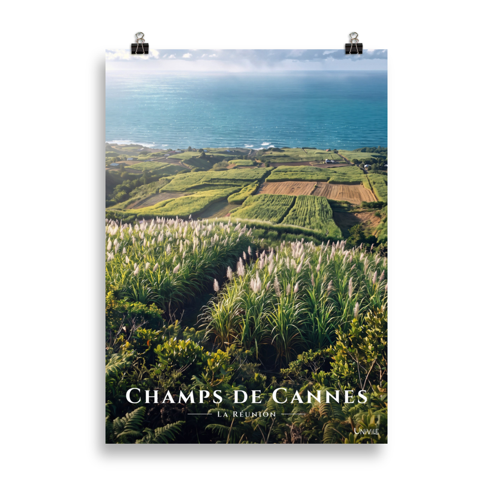 Poster Champs de Cannes Sans cadre 50 × 70 cm