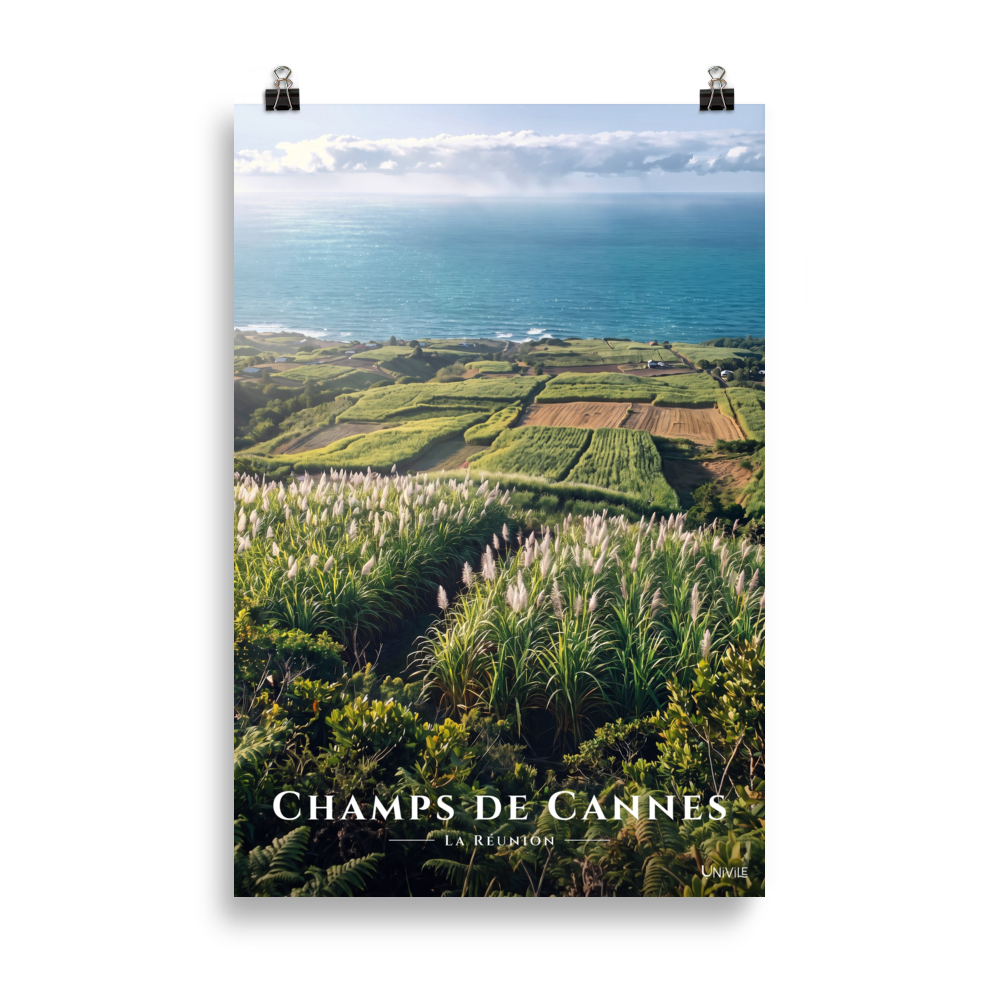 Poster Champs de Cannes Sans cadre 61 × 91 cm