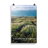 Poster Champs de Cannes Sans cadre 61 × 91 cm