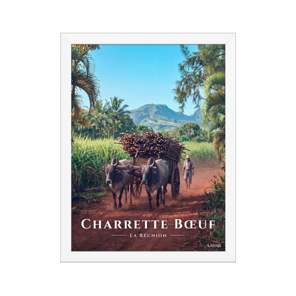 Poster Charrette Bœuf Blanc 30 × 40 cm