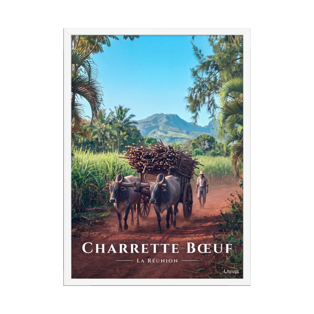Poster Charrette Bœuf Blanc 50 × 70 cm