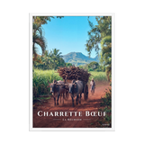 Poster Charrette Bœuf Blanc 50 × 70 cm