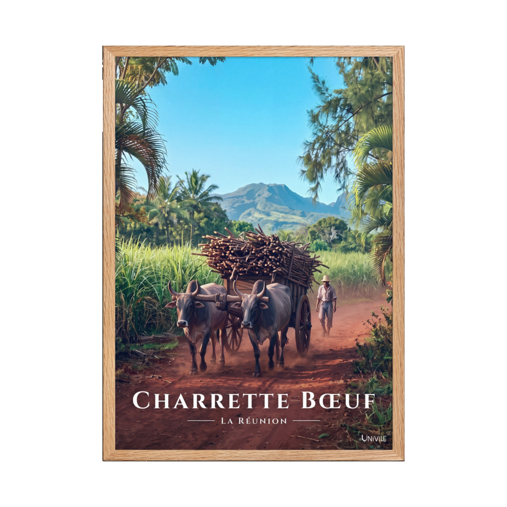 Poster Charrette Bœuf Oak 50 × 70 cm