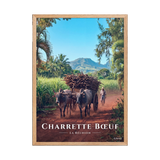 Poster Charrette Bœuf Oak 50 × 70 cm