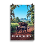 Poster Charrette Bœuf Sans cadre 61 × 91 cm
