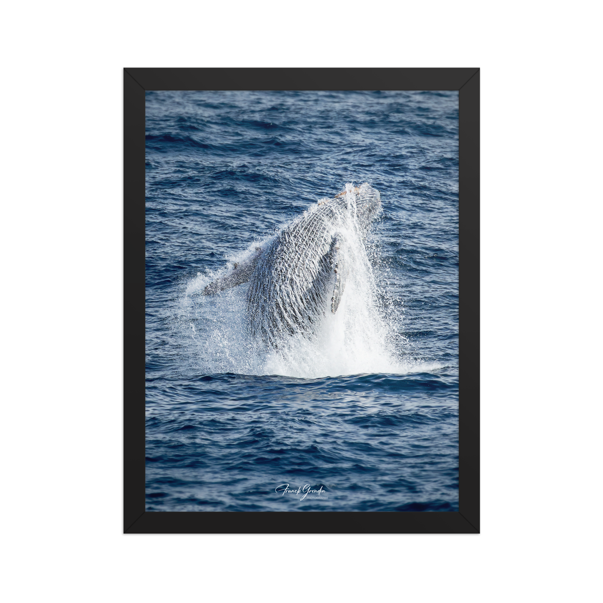 Affiche de La Réunion Baleine 30 × 40 cm / Noir - Univile La Réunion