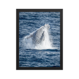 Affiche de La Réunion Baleine 30 × 40 cm / Noir - Univile La Réunion