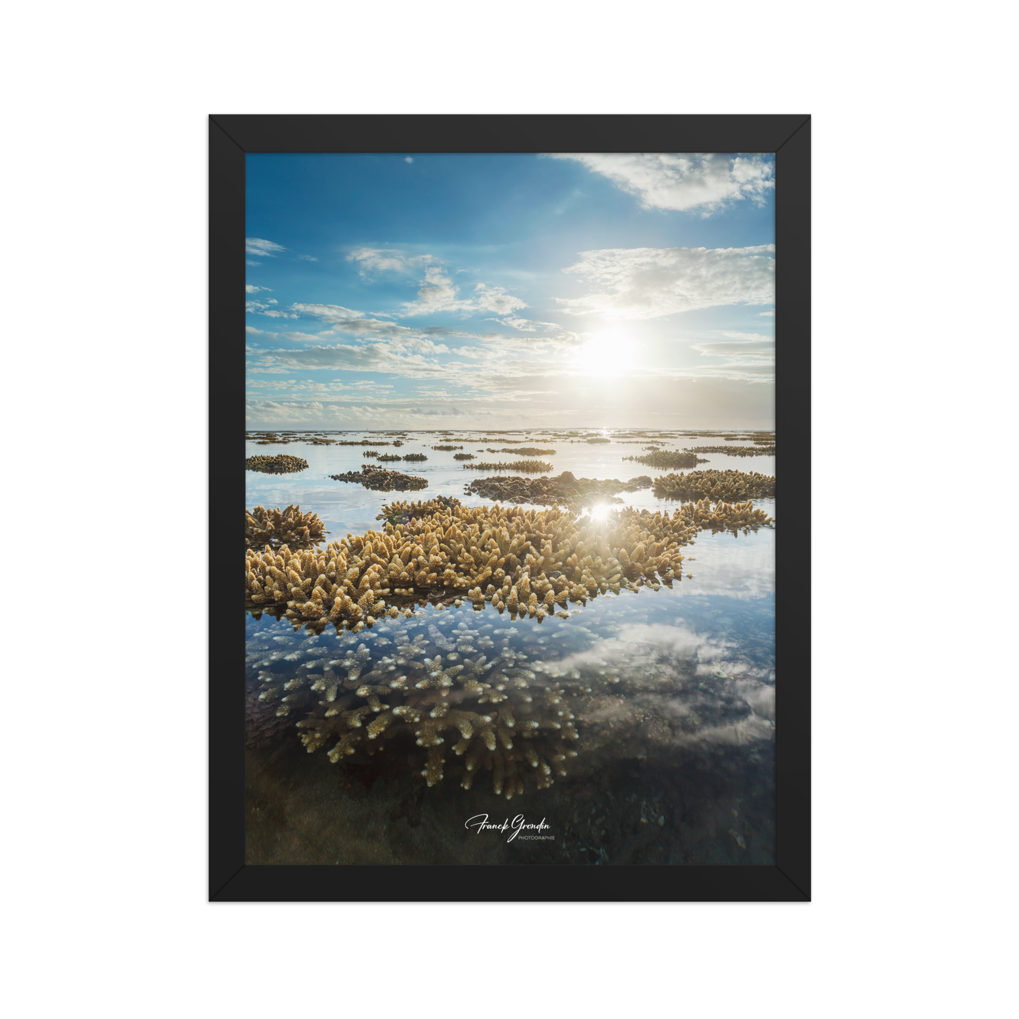 Affiche de La Réunion Le Récif 30 × 40 cm / Noir - Univile La Réunion