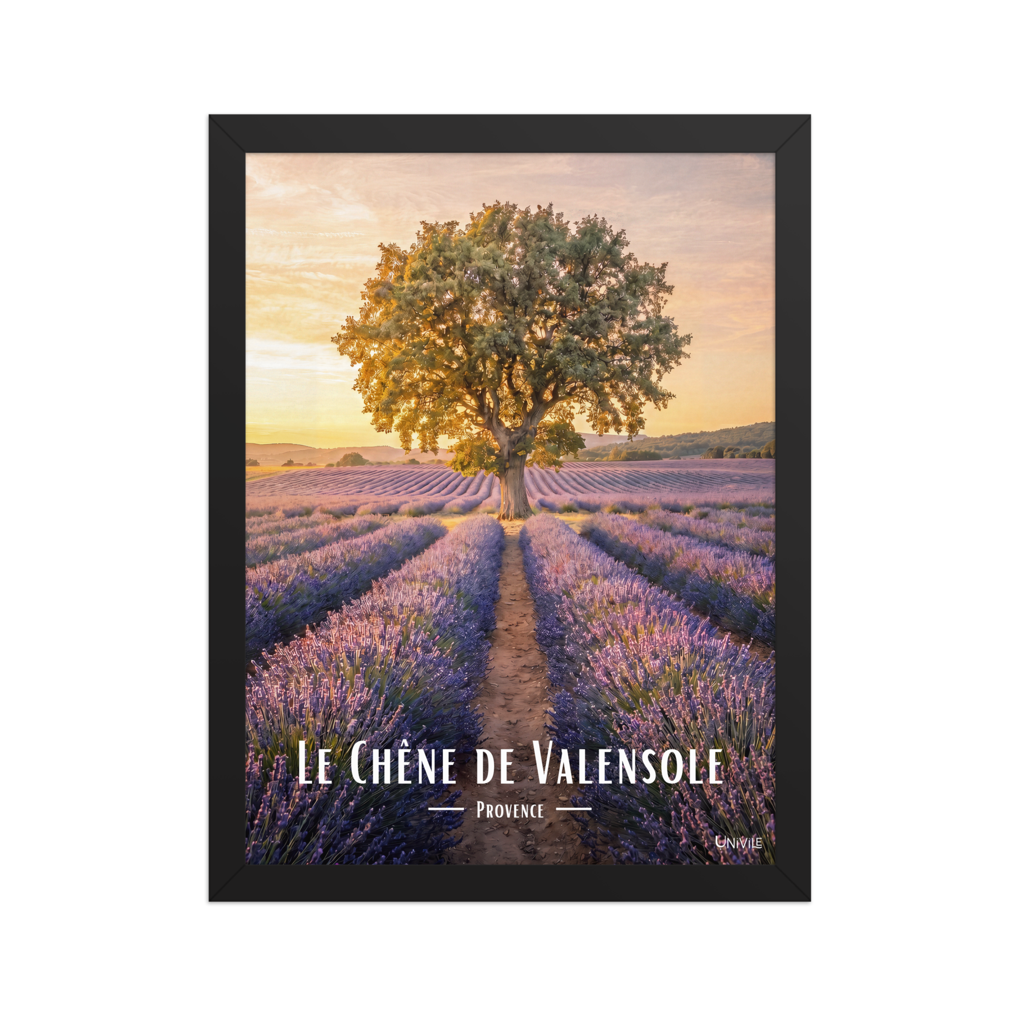 Affiche de Provence Le Chêne de Valensole 30 × 40 cm / Noir - Univile Provence