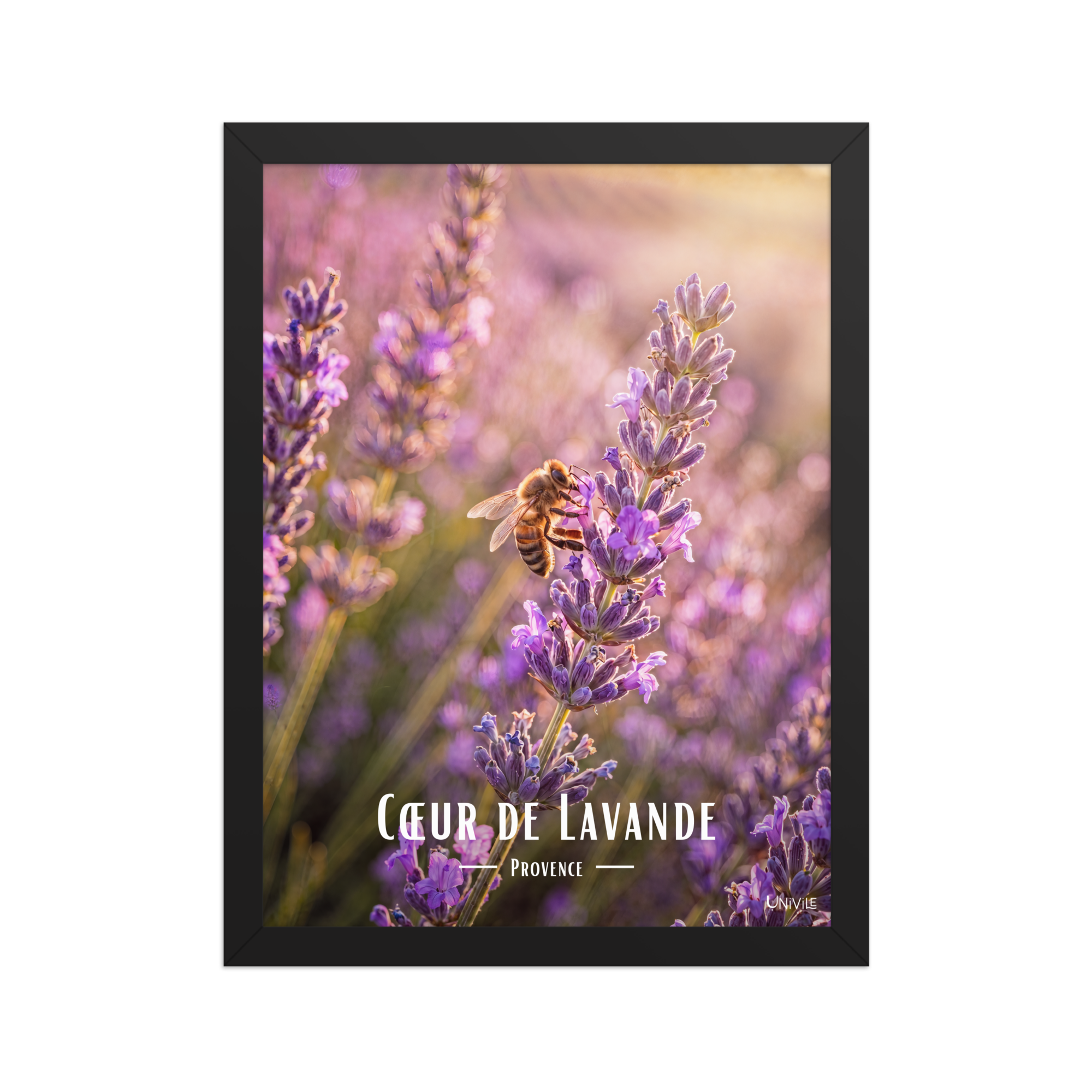 Affiche de Provence Cœur de Lavande 30 × 40 cm / Noir - Univile Provence