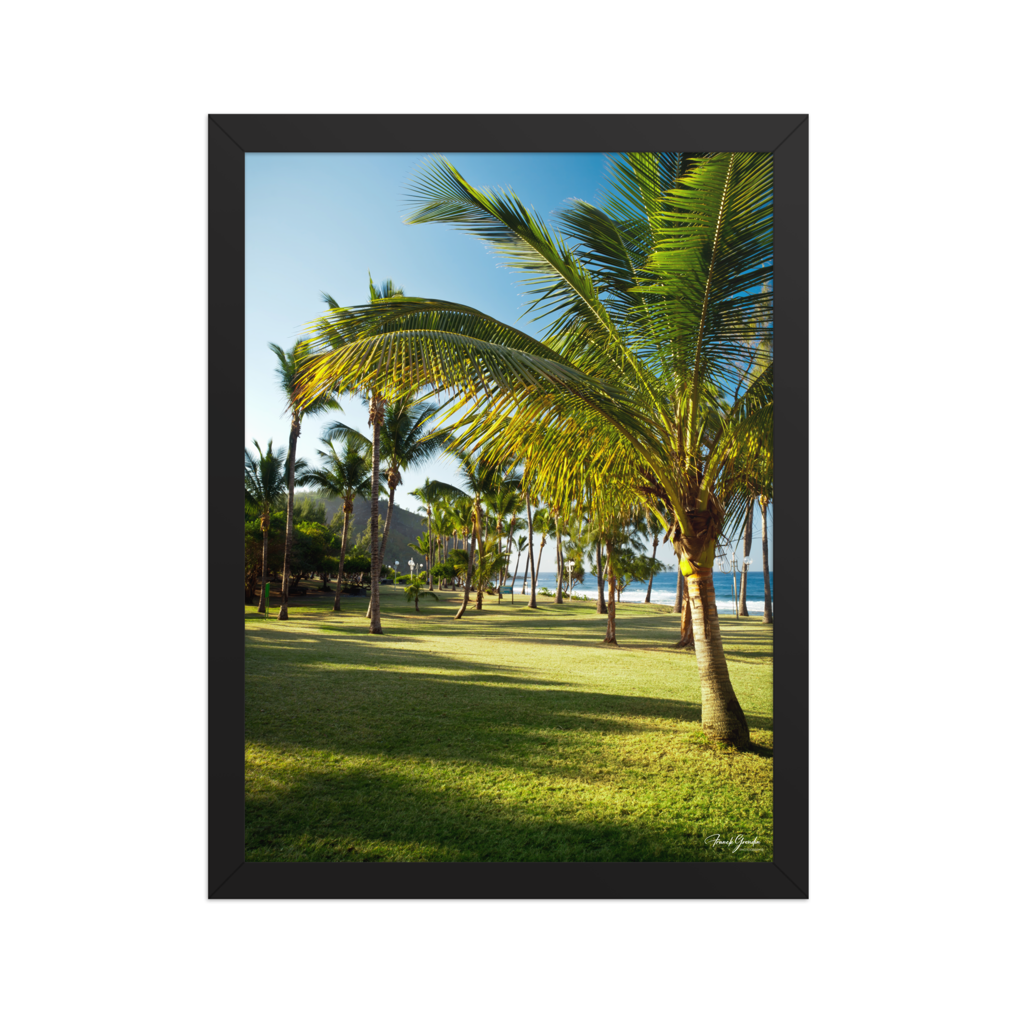 Affiche de La Réunion Palmier de Grande Anse 30 × 40 cm / Noir - photographie Franck Grondin