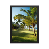 Affiche de La Réunion Palmier de Grande Anse 30 × 40 cm / Noir - photographie Franck Grondin