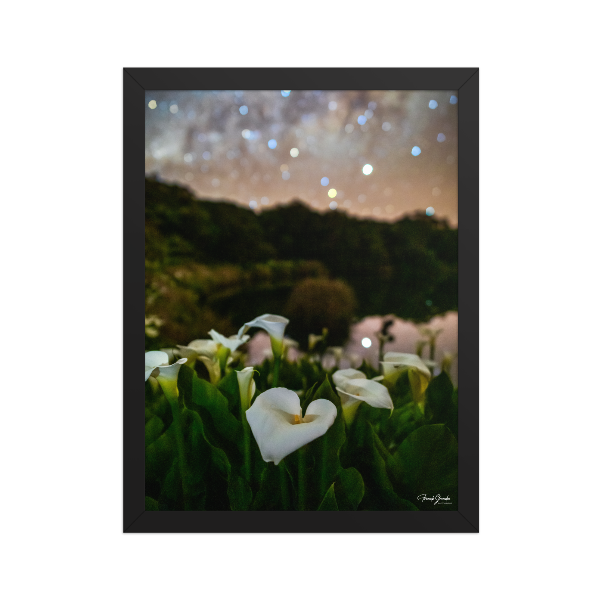Affiche de La Réunion Arums du Piton de l'Eau 30 × 40 cm / Noir - photographie Franck Grondin