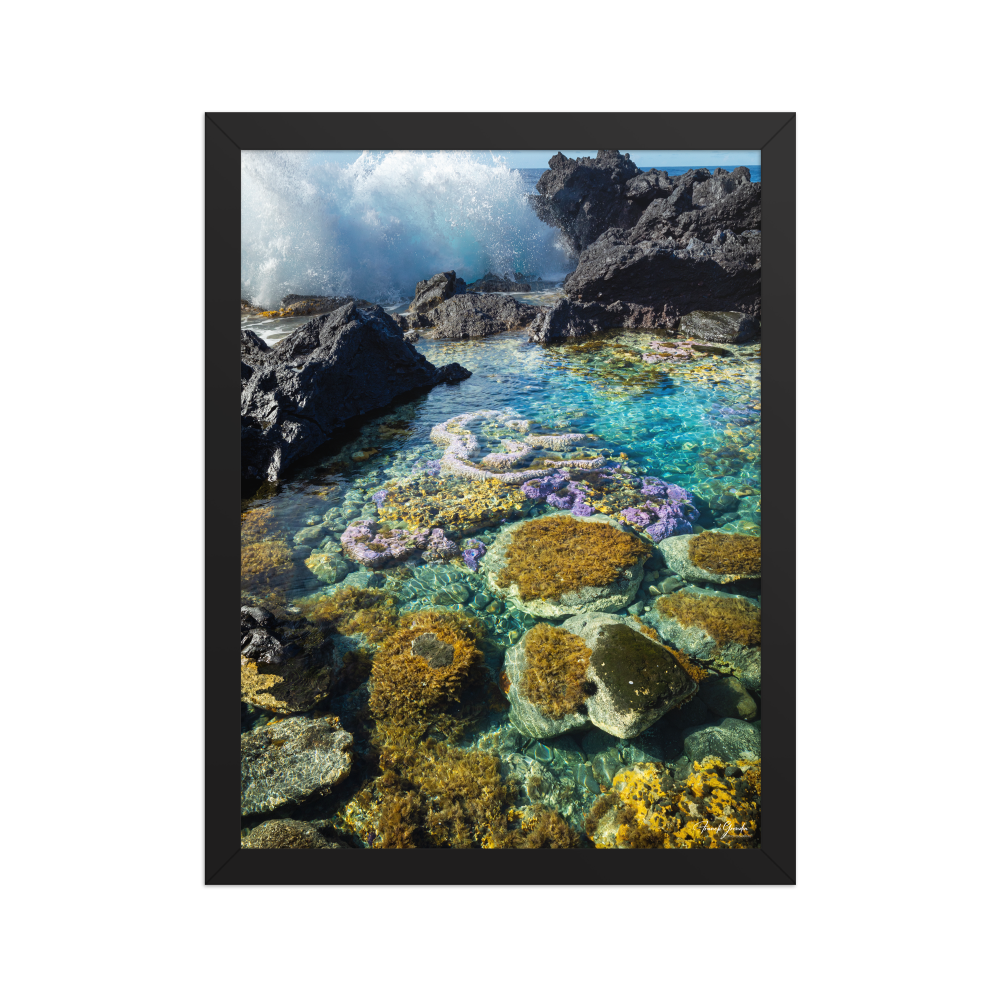 Affiche de La Réunion Coraux de Langevin 30 × 40 cm / Noir - photographie Franck Grondin