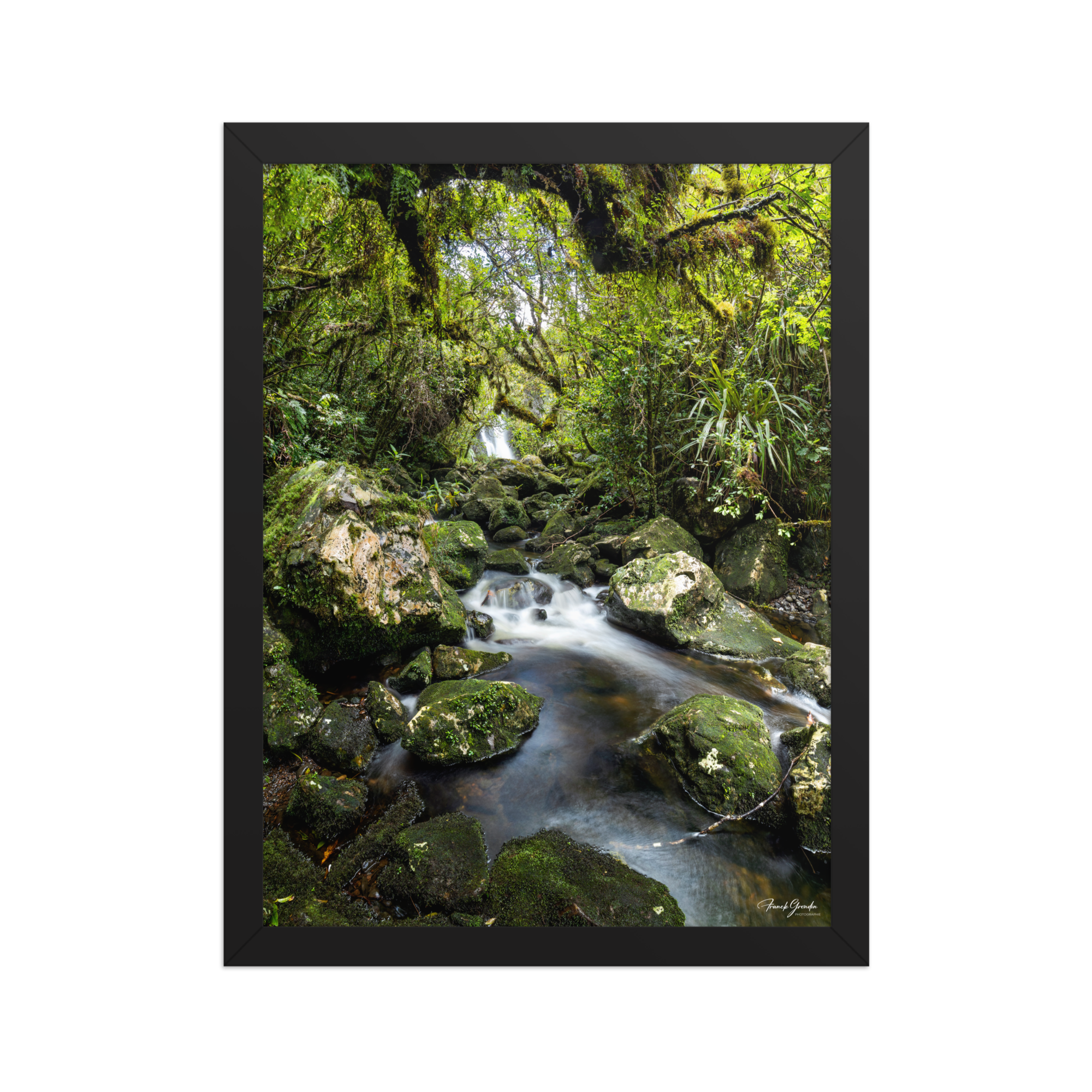 Affiche de La Réunion Forêt du Bras des Lianes 30 × 40 cm / Noir - photographie Franck Grondin