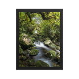 Affiche de La Réunion Forêt du Bras des Lianes 30 × 40 cm / Noir - photographie Franck Grondin