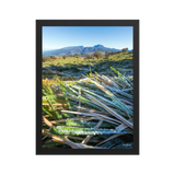 Affiche de La Réunion Givre sur les Hauts du Volcan 30 × 40 cm / Noir - photographie Franck Grondin
