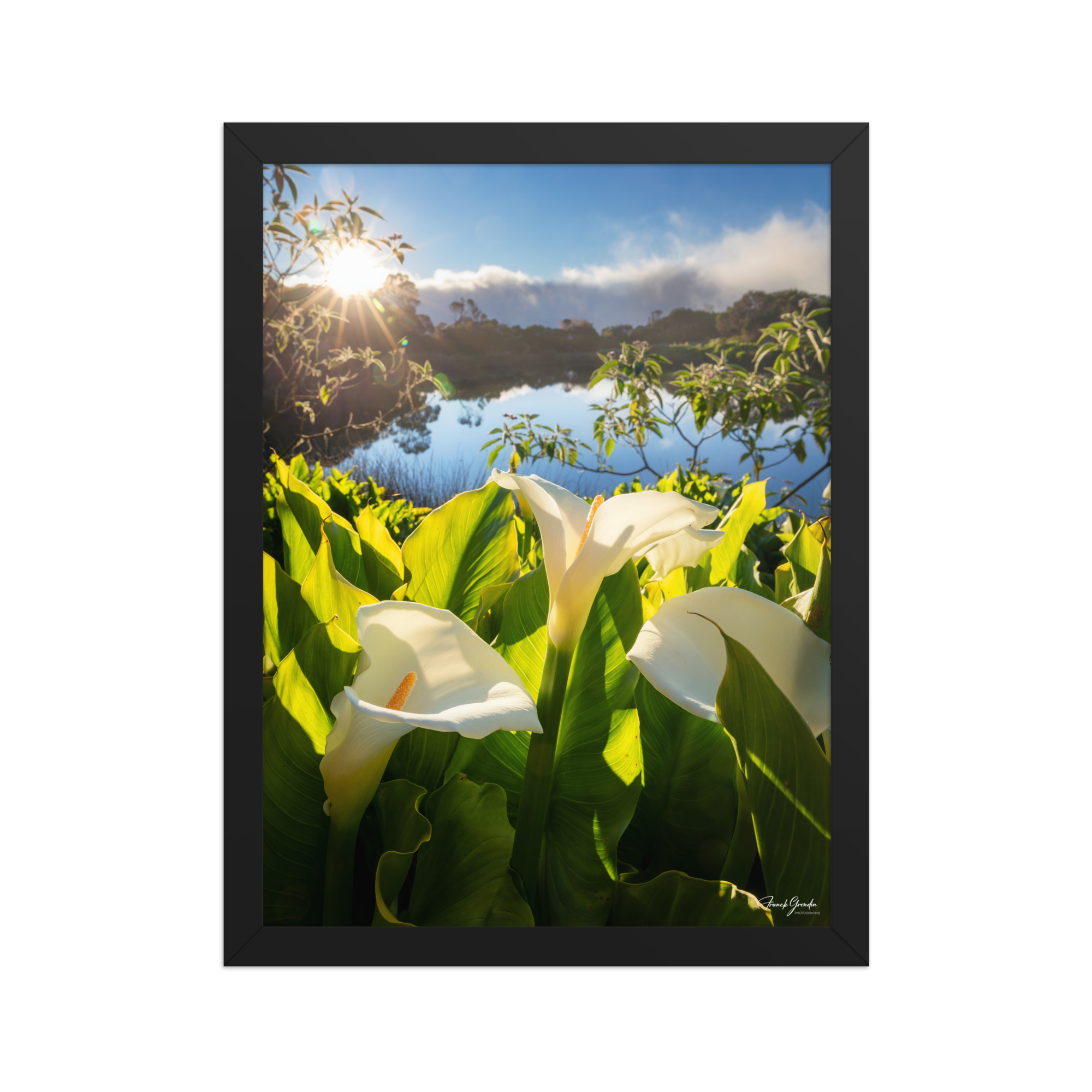 Affiche de La Réunion Arums du Piton de l'Eau au Crépuscule 30 × 40 cm / Noir - photographie Franck Grondin