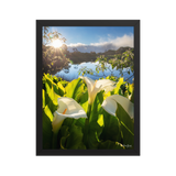 Affiche de La Réunion Arums du Piton de l'Eau au Crépuscule 30 × 40 cm / Noir - photographie Franck Grondin