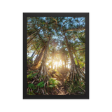 Affiche de La Réunion Forêt de Vacoas 30 × 40 cm / Noir - photographie Franck Grondin