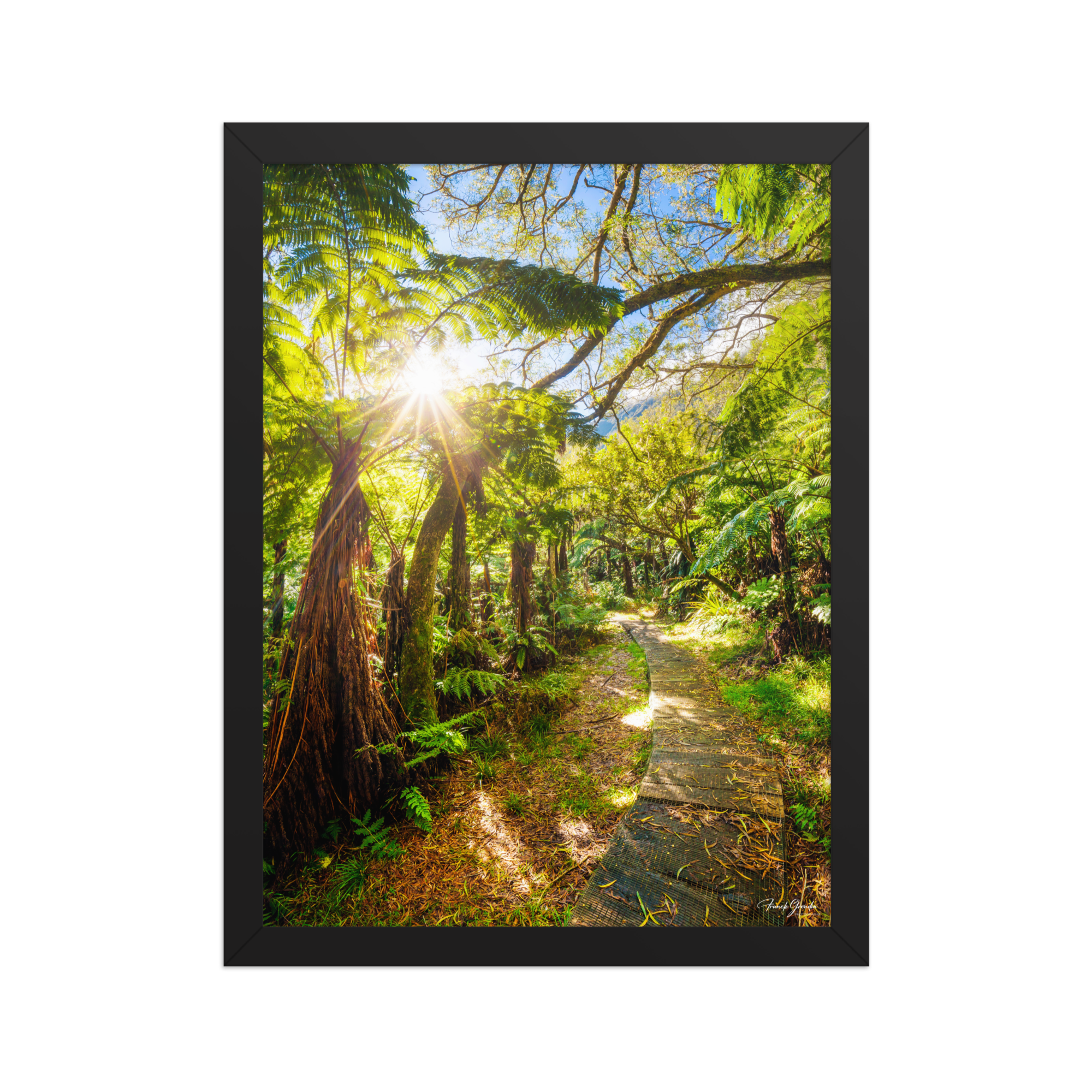 Affiche de La Réunion Le Chemin du Trou de Fer 30 × 40 cm / Noir - photographie Franck Grondin
