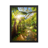 Affiche de La Réunion Le Chemin du Trou de Fer 30 × 40 cm / Noir - photographie Franck Grondin
