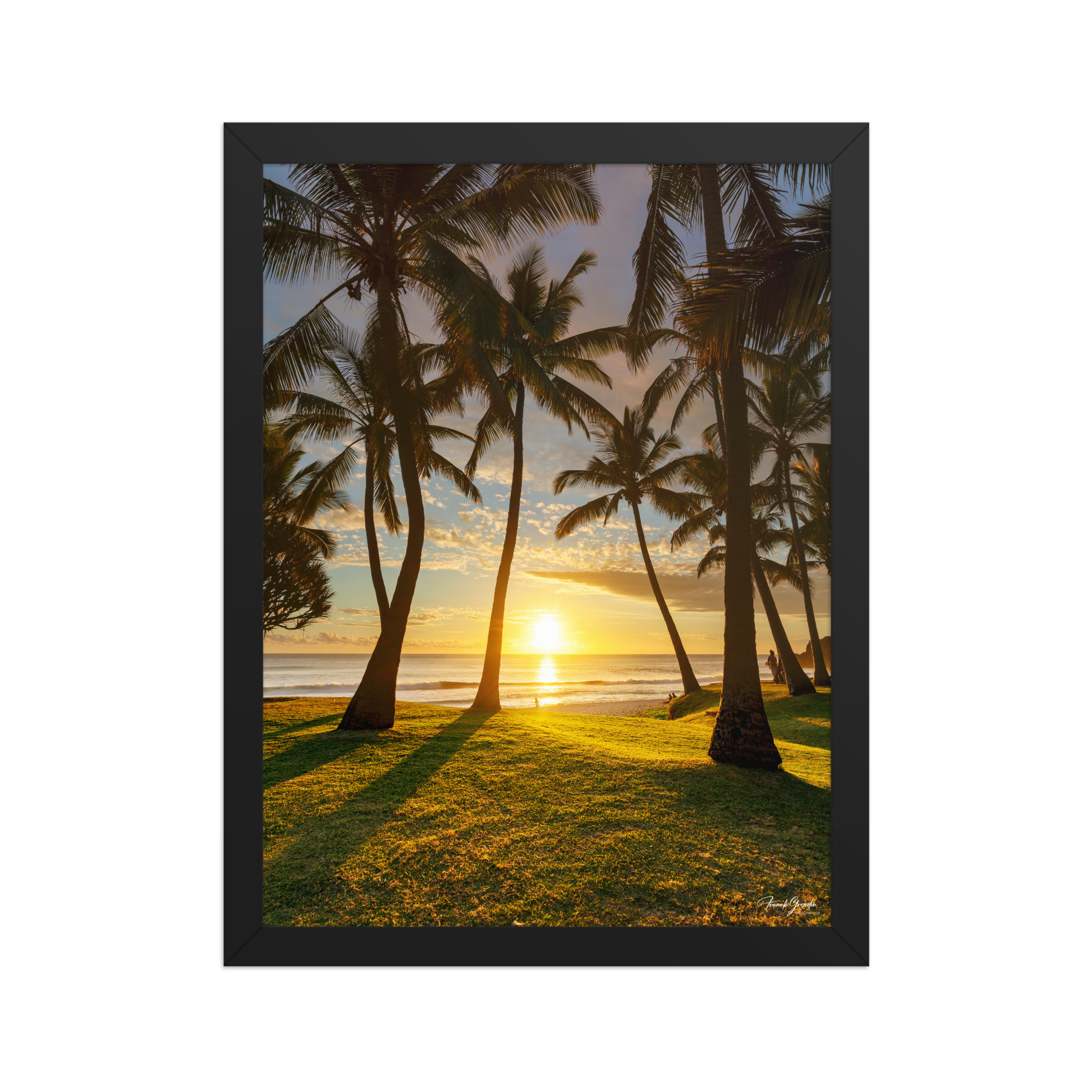 Affiche de La Réunion Cocotiers de Grande Anse 30 × 40 cm / Noir - photographie Franck Grondin