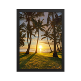 Affiche de La Réunion Cocotiers de Grande Anse 30 × 40 cm / Noir - photographie Franck Grondin