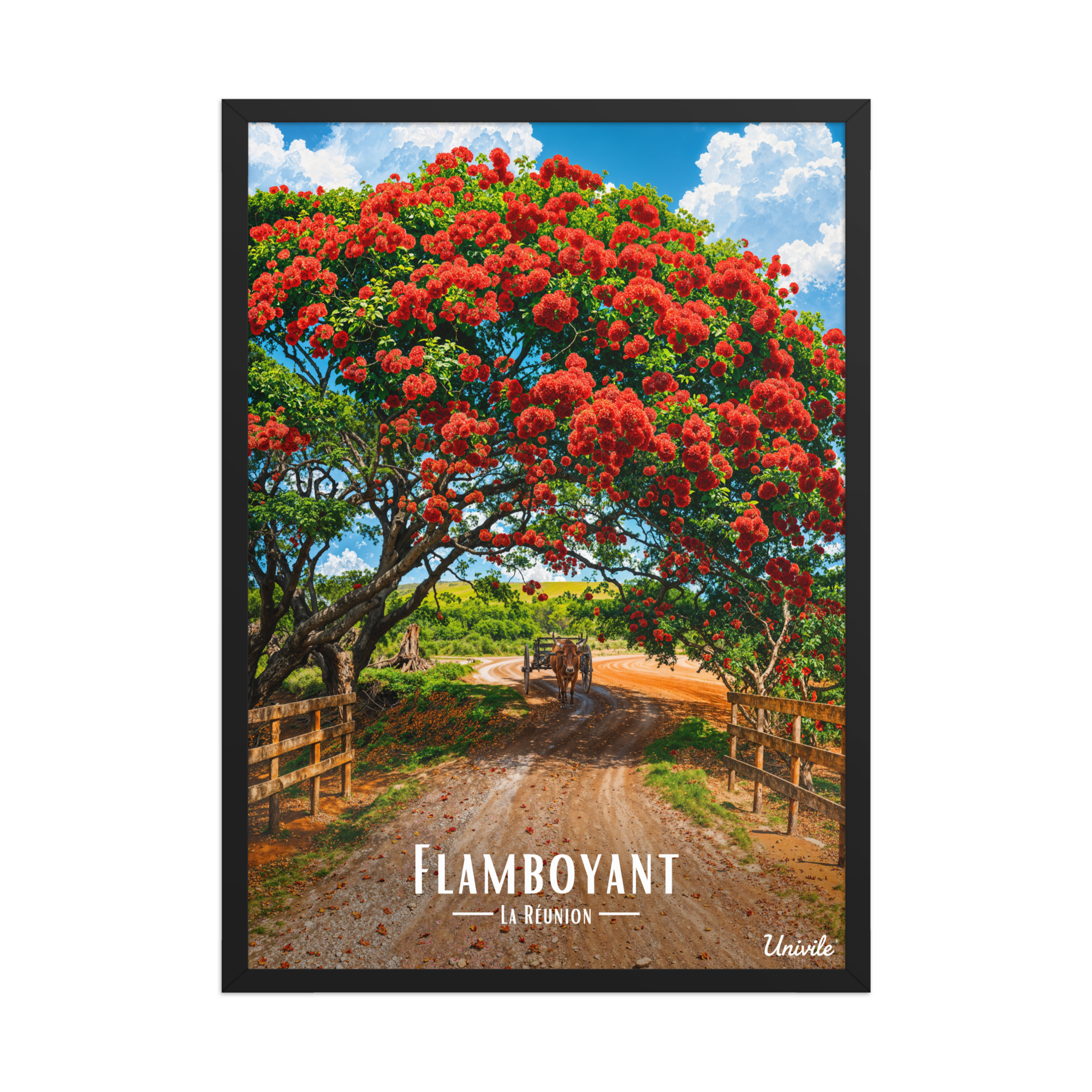 Affiche de la Réunion Flamboyant des champs 50 × 70 cm / Noir - Univile
