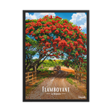 Affiche de la Réunion Flamboyant des champs 50 × 70 cm / Noir - Univile