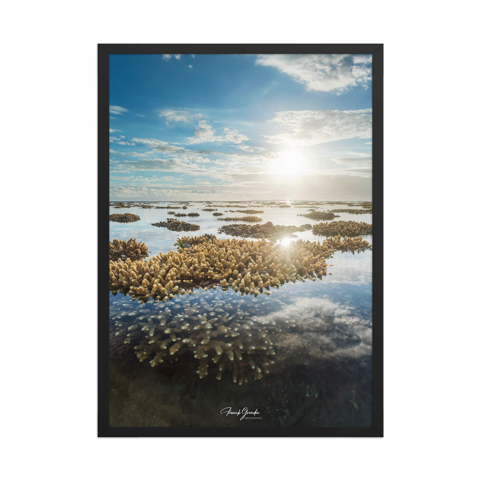 Affiche de La Réunion Le Récif 50 × 70 cm / Noir - Univile La Réunion