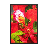 Affiche de La Réunion Fleur de Flamboyant 50 × 70 cm / Noir - Univile La Réunion