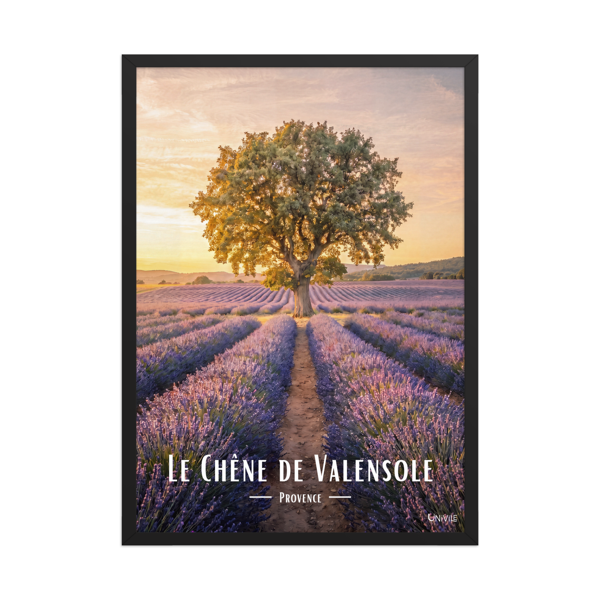 Affiche de Provence Le Chêne de Valensole 50 × 70 cm / Noir - Univile Provence
