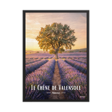 Affiche de Provence Le Chêne de Valensole 50 × 70 cm / Noir - Univile Provence