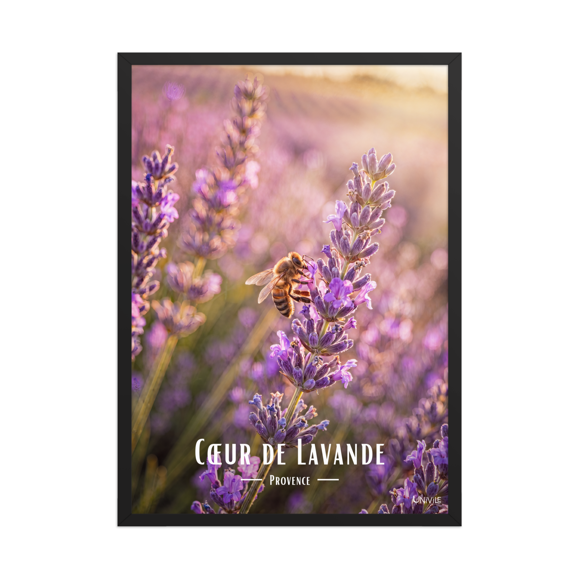 Affiche de Provence Cœur de Lavande 50 × 70 cm / Noir - Univile Provence