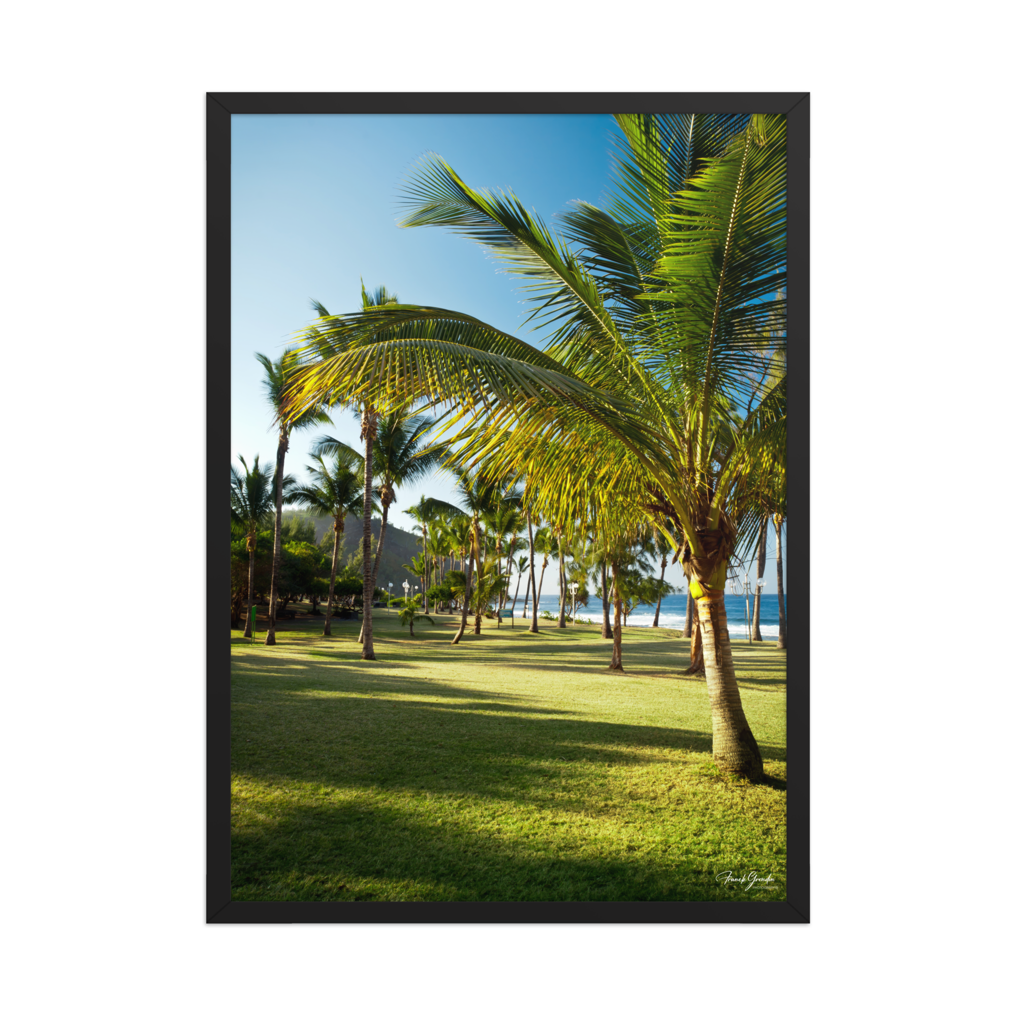 Affiche de La Réunion Palmier de Grande Anse 50 × 70 cm / Noir - photographie Franck Grondin