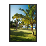 Affiche de La Réunion Palmier de Grande Anse 50 × 70 cm / Noir - photographie Franck Grondin