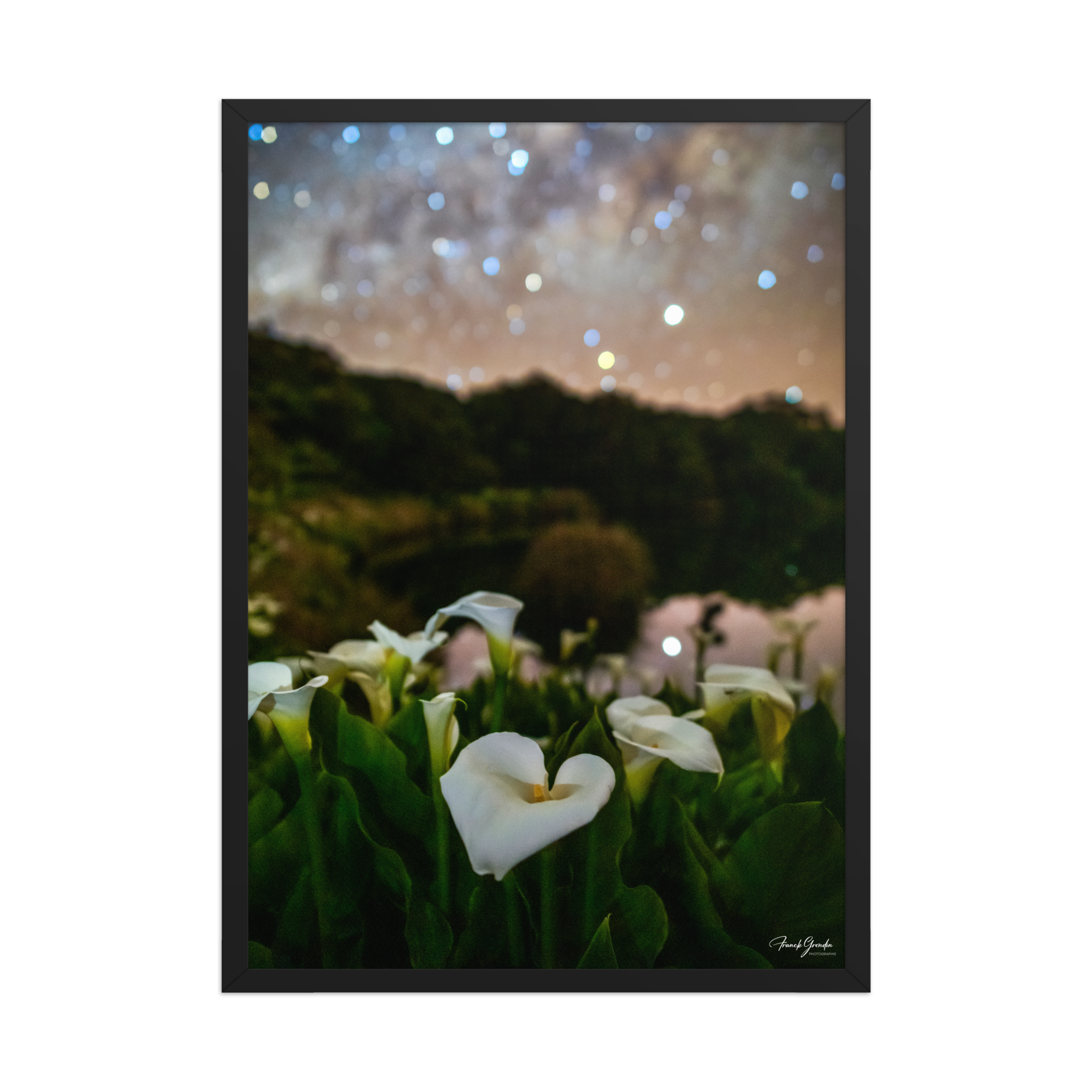 Affiche de La Réunion Arums du Piton de l'Eau 50 × 70 cm / Noir - photographie Franck Grondin