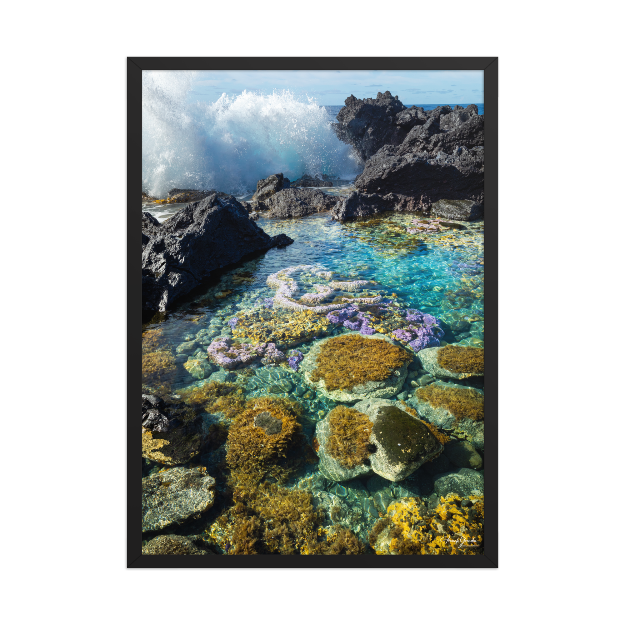 Affiche de La Réunion Coraux de Langevin 50 × 70 cm / Noir - photographie Franck Grondin
