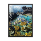 Affiche de La Réunion Coraux de Langevin 50 × 70 cm / Noir - photographie Franck Grondin