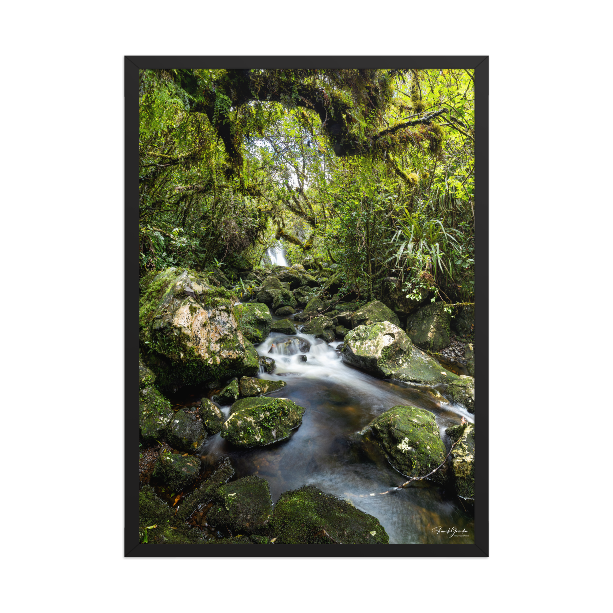 Affiche de La Réunion Forêt du Bras des Lianes 50 × 70 cm / Noir - photographie Franck Grondin