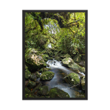 Affiche de La Réunion Forêt du Bras des Lianes 50 × 70 cm / Noir - photographie Franck Grondin