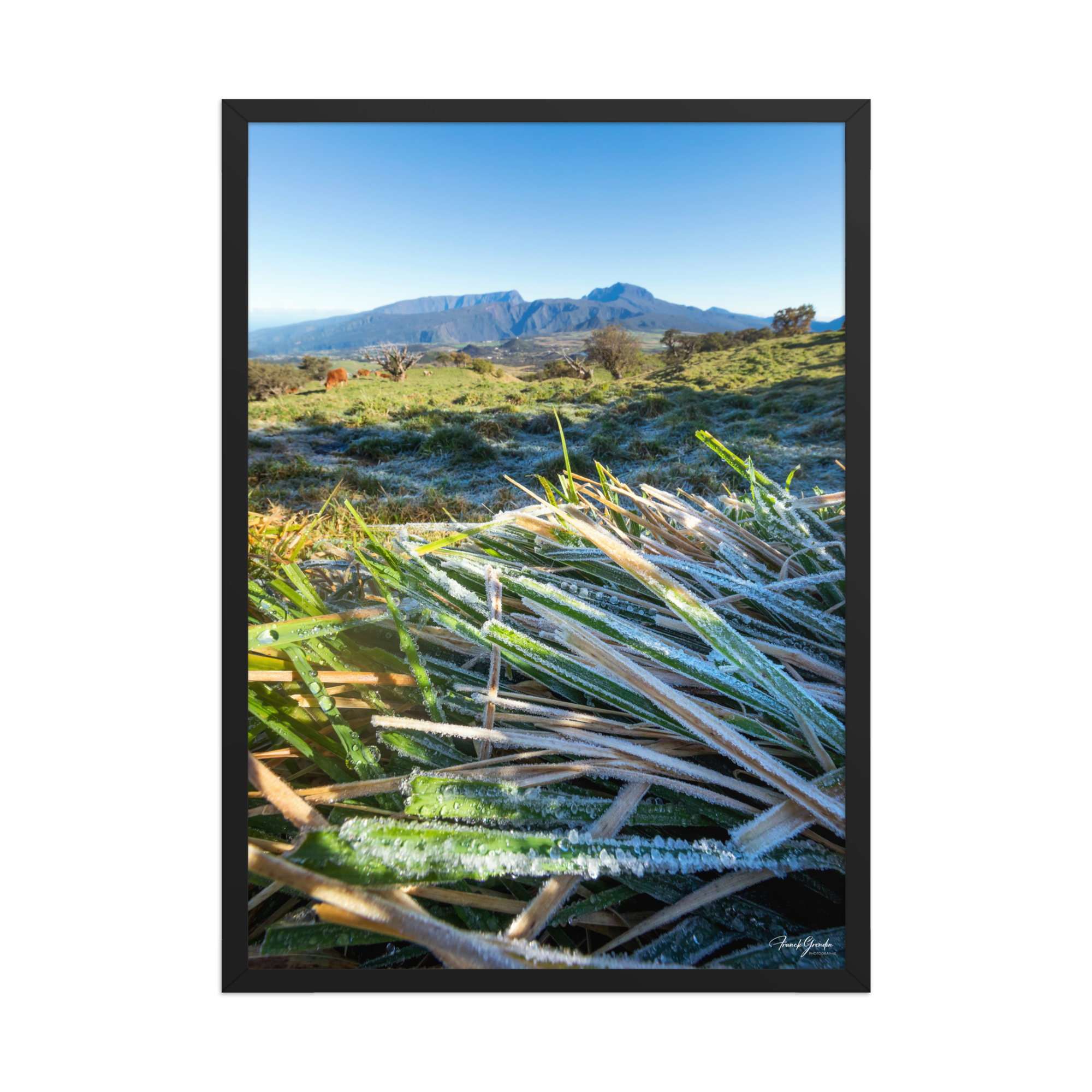 Affiche de La Réunion Givre sur les Hauts du Volcan 50 × 70 cm / Noir - photographie Franck Grondin