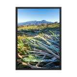 Affiche de La Réunion Givre sur les Hauts du Volcan 50 × 70 cm / Noir - photographie Franck Grondin