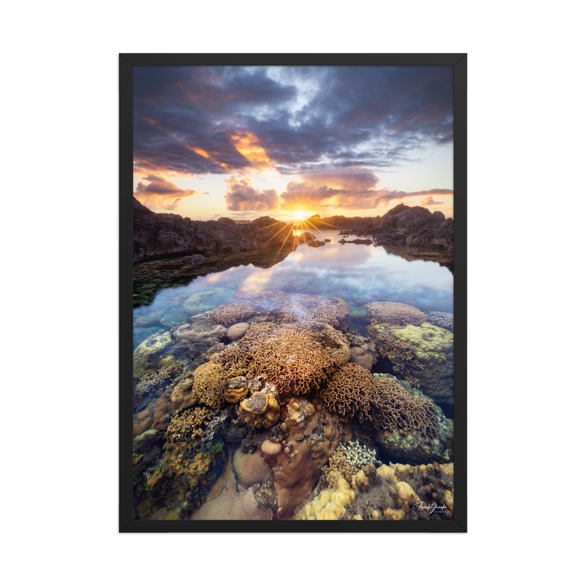Affiche de La Réunion Coraux de la Souris Blanche 50 × 70 cm / Noir - photographie Franck Grondin