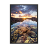 Affiche de La Réunion Coraux de la Souris Blanche 50 × 70 cm / Noir - photographie Franck Grondin