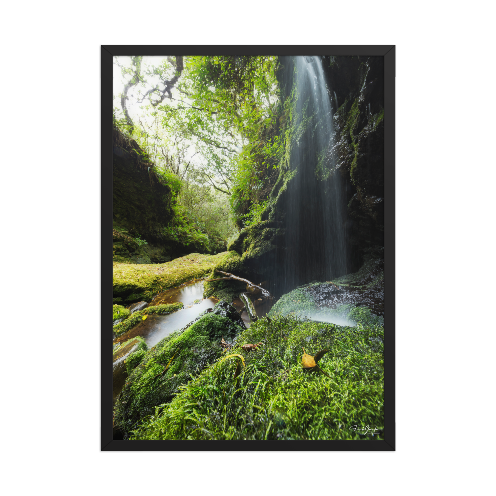 Affiche de La Réunion Cascade de la Ravine Citron Galet 50 × 70 cm / Noir - photographie Franck Grondin