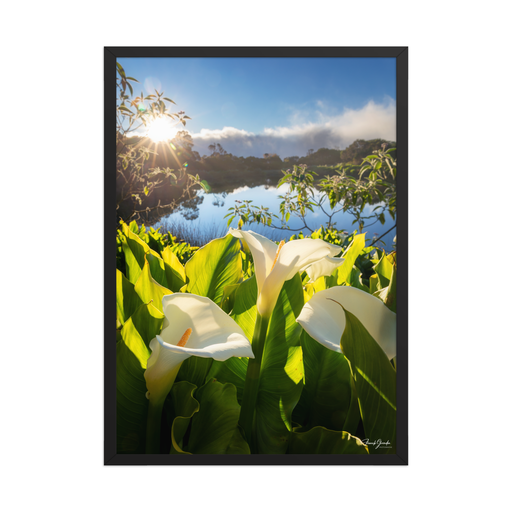 Affiche de La Réunion Arums du Piton de l'Eau au Crépuscule 50 × 70 cm / Noir - photographie Franck Grondin